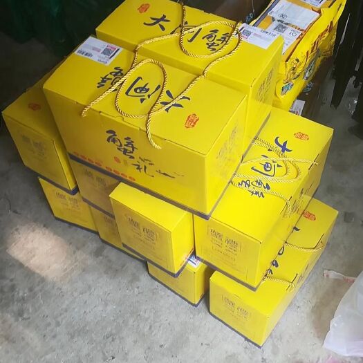 南京固城湖3公2母10只大闸蟹礼盒，江浙沪包邮
