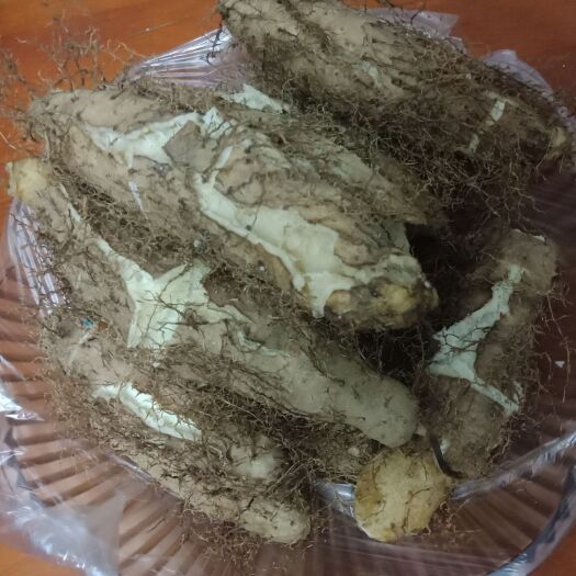 遂溪县 毛薯，粉的不要不要的