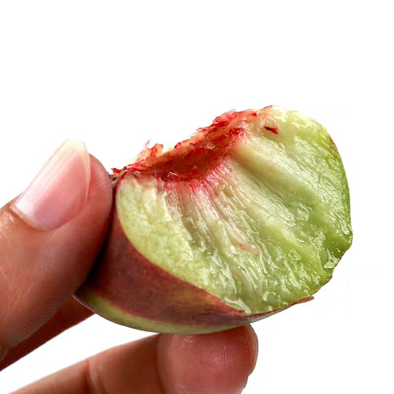  蜜桃一件代发