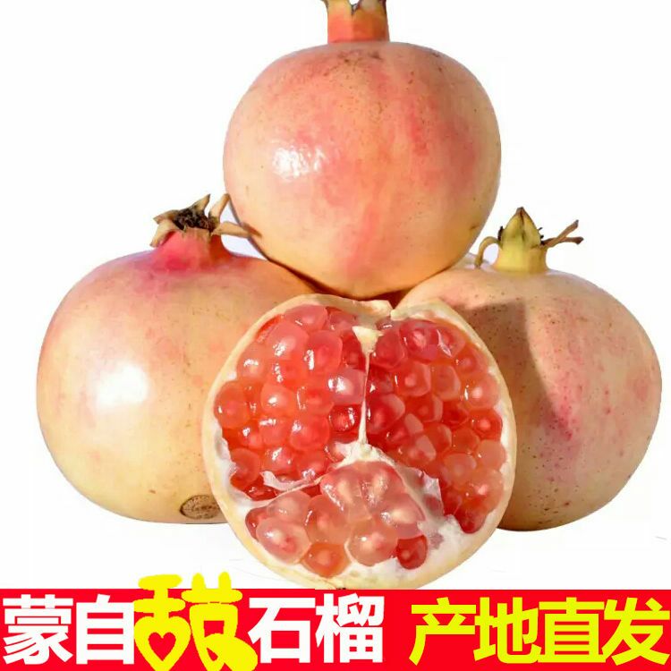临潼大石榴