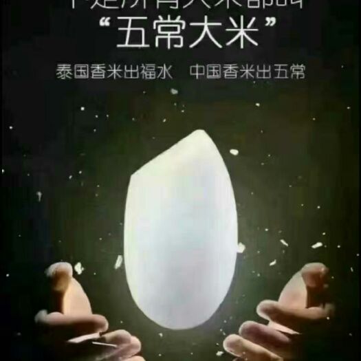 五常市稻花香  新米上市 自家种植的纯河水灌溉的