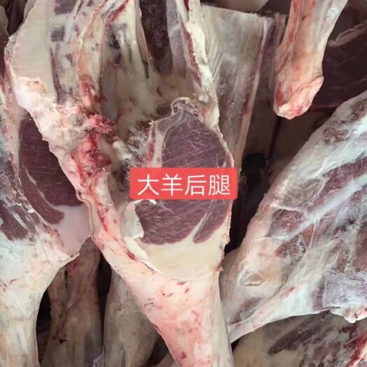 献县羊腿肉 大羊后腿