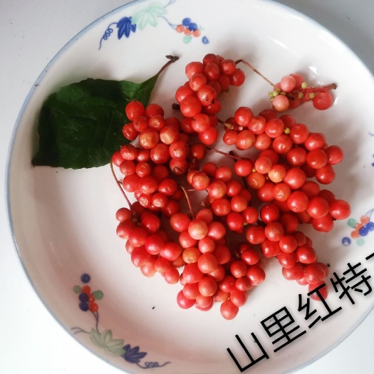 铁力市 东北五味子，纯，药效佳，纯熟采摘