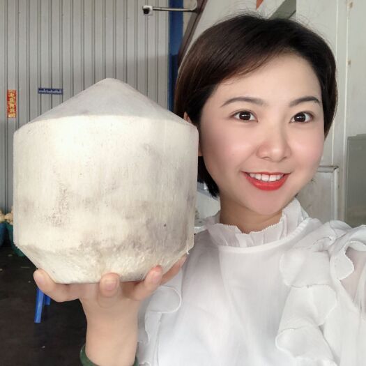 昆明泰国椰青 泰国香水椰青—昆明棣乾进出口贸易有限公司