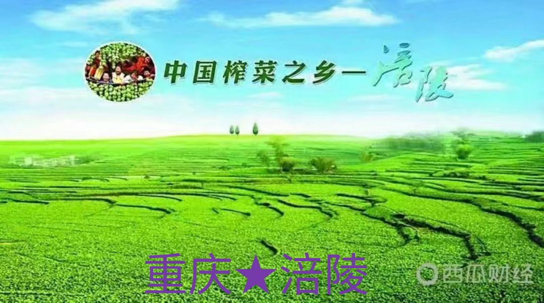 重庆市涪陵榨菜集团股份有限公司(重庆市涪陵榨菜集团股份有限公司是国企吗)