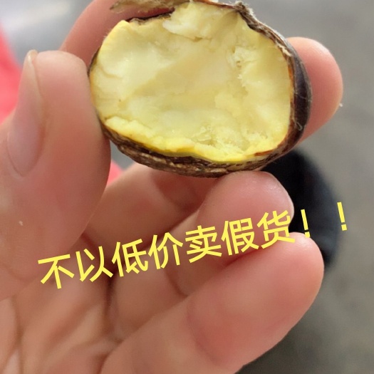 迁西县河北迁西板栗糖炒栗子 自有承包的板栗园绝不掺假保质足量