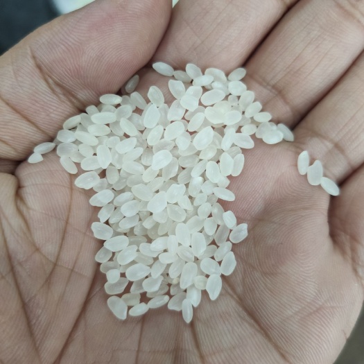 宁明县 中粮大量珍珠米