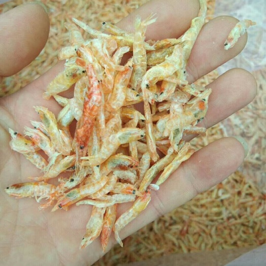 益阳红虾 麦秆虾