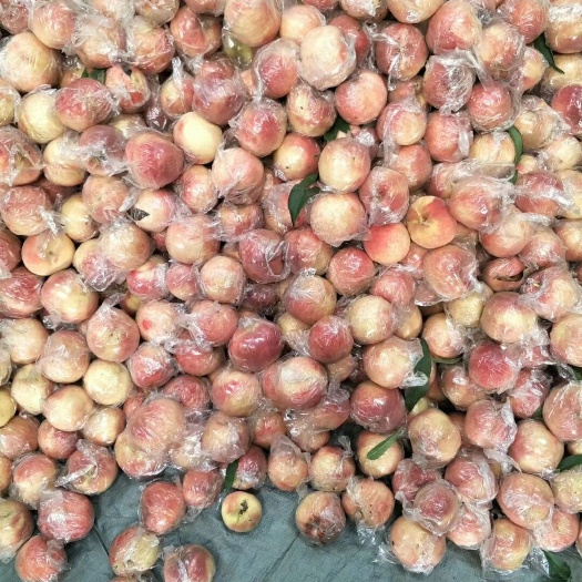 万荣县嘎啦苹果 运城嘎啦接近尾声，毛桃量大价低