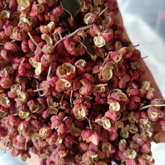 平陆县大红袍花椒 一级 干花椒