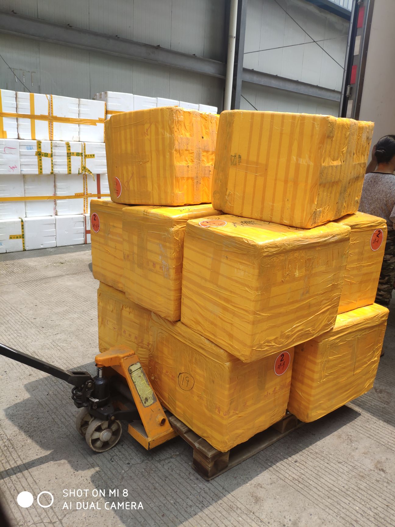  包邮，各种规格新鲜松茸，藏区产地直销，一件代发！