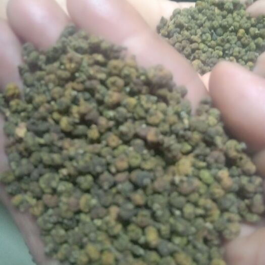 南宁 广西正宗中华吴茱萸无杂物，还有最后七八十斤。