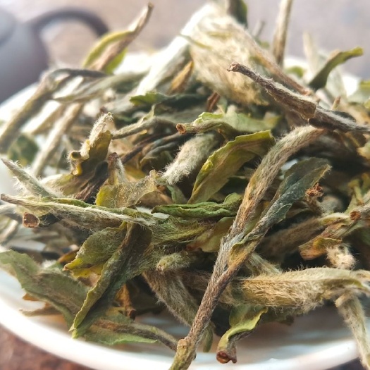 福鼎市 正宗福鼎白茶白牡丹茶特级