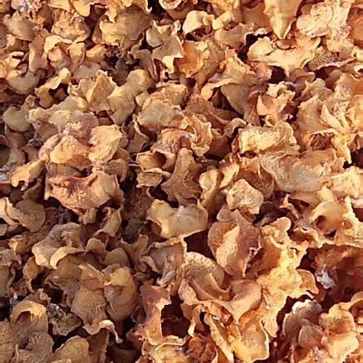 金乡县 特级羊肚耳|珍珠菌|羊肚耳精品