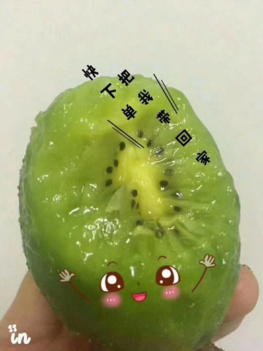  秦岭山下，陕西眉县绿色无污染自家种植徐香猕猴桃