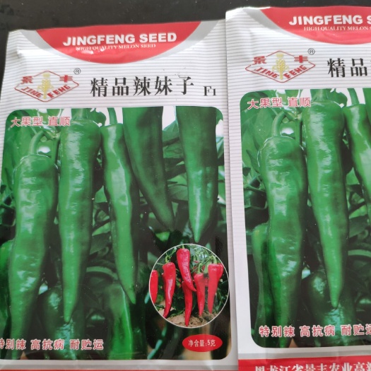 青州市彩椒种子 杂交种 ≥85%