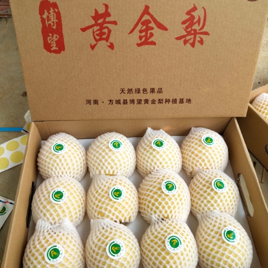 方城县 黄金梨.成熟了.坚持更好的品质.更好的服务。欢迎品尝