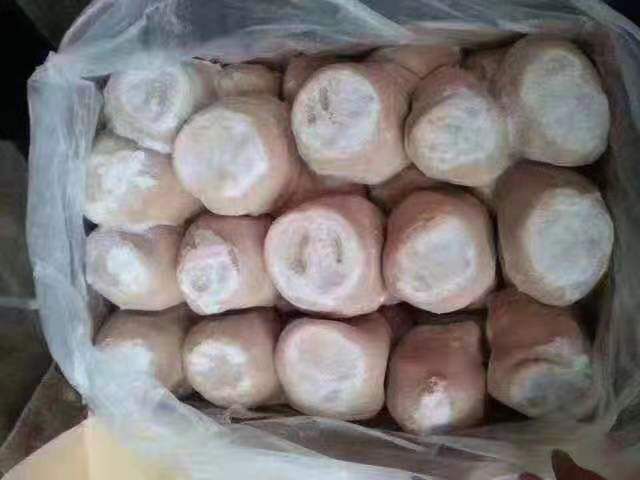 中牟县 50羊肚