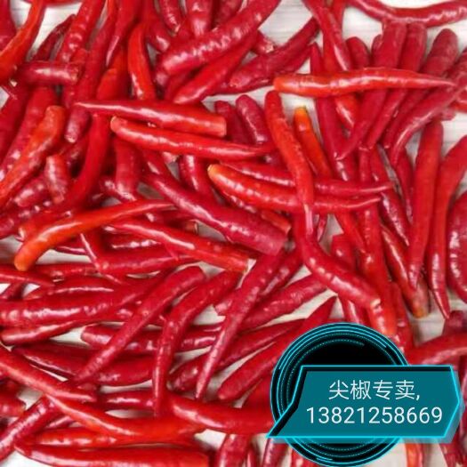 内黄县辣椒王 混装通货 特辣 红色