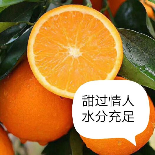 秭归县夏橙大量有货中，口感纯甜，水分充足
