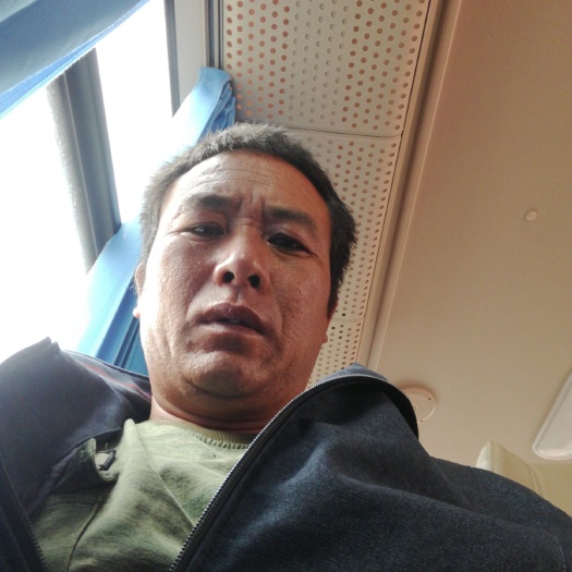 砚山县野生鱼腥草 出各种蔬菜