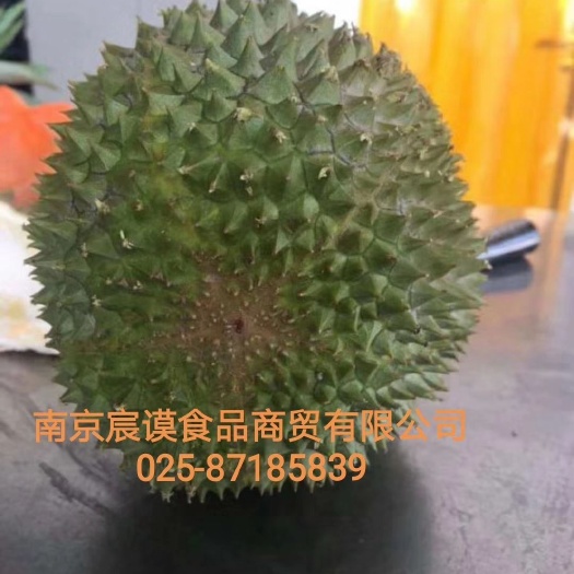 南京 正宗马来西亚猫山王榴莲D197