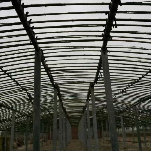 尉氏县鸡鸭鹅 养殖大棚建造