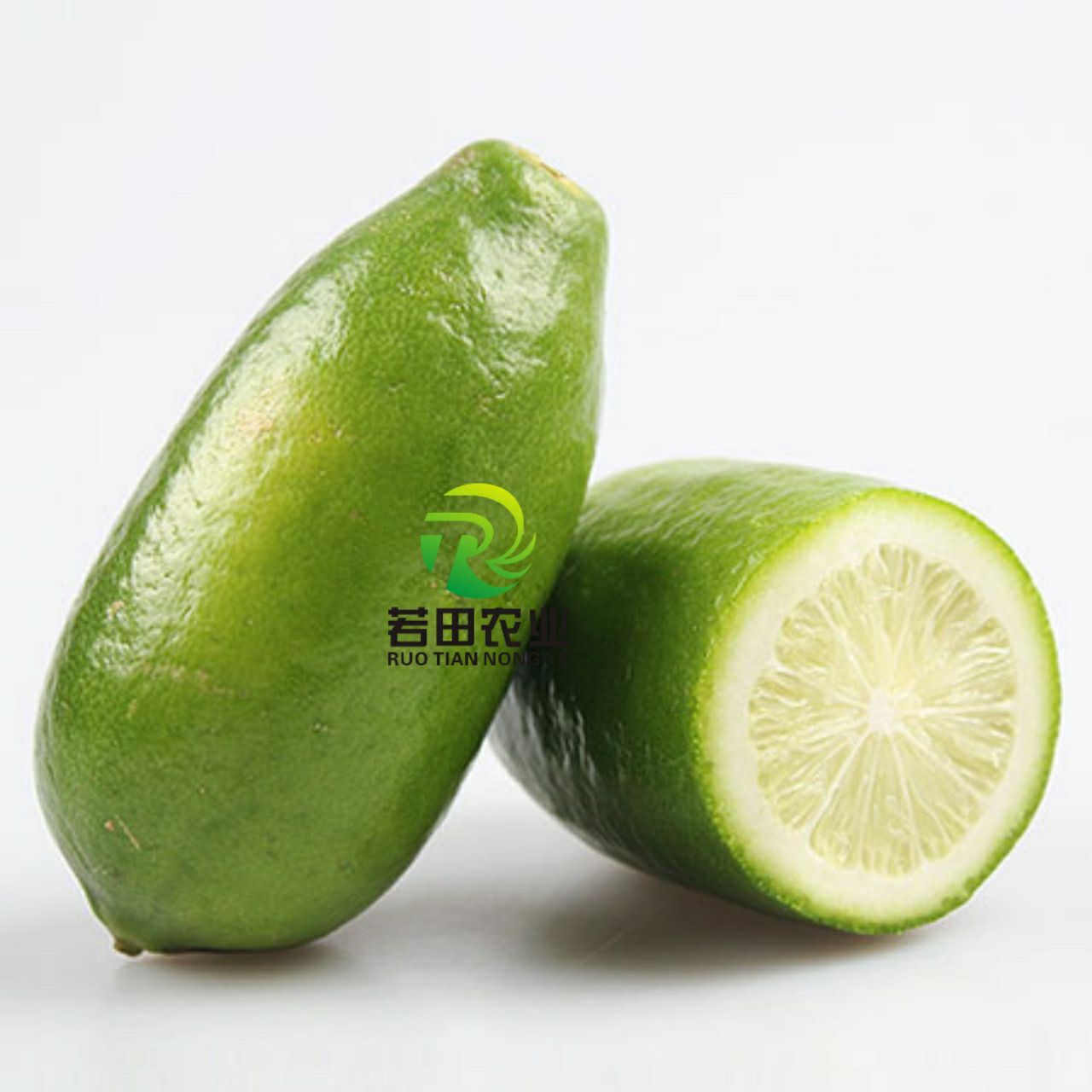  四季香水柠檬苗