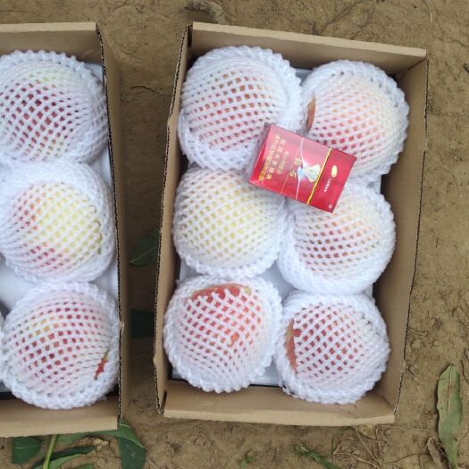 深州市 深州蜜桃 历代贡品 味道独特 