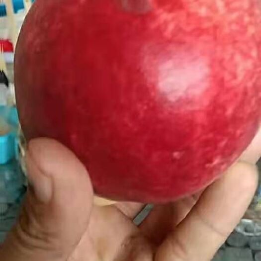 沂水县秋彤桃 桃子