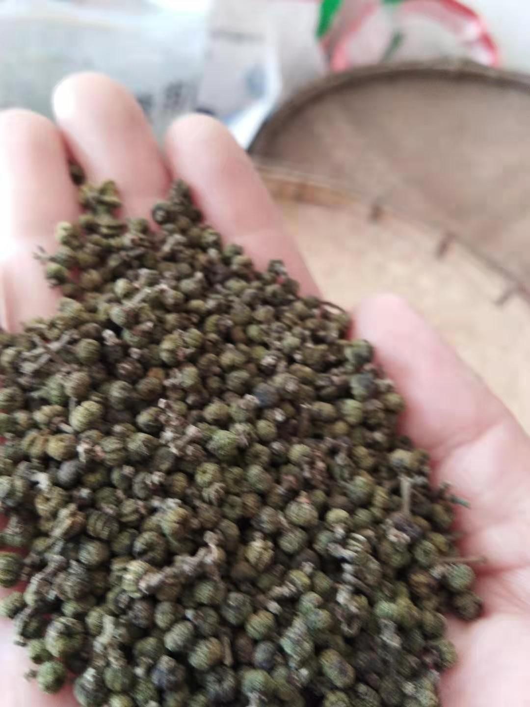  优质中花吴茱萸