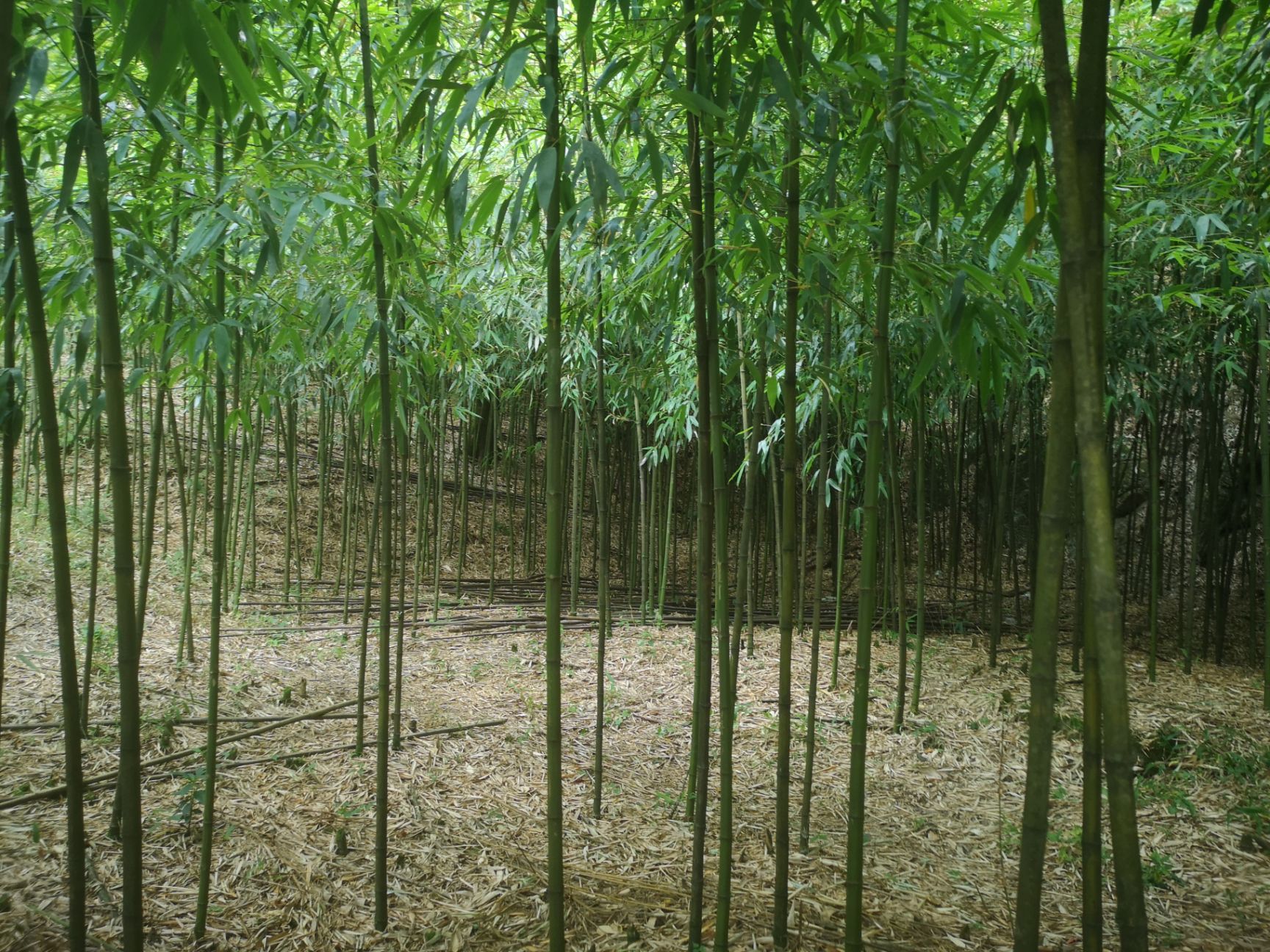 欢迎来到惠农网