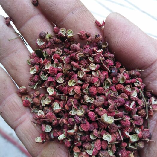  花椒，莱芜大红袍花椒