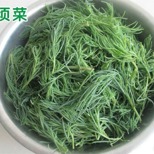 沧州碱蓬草 速冻碱蓬，美味中的美味，让你没齿难忘。全国常年供货。
