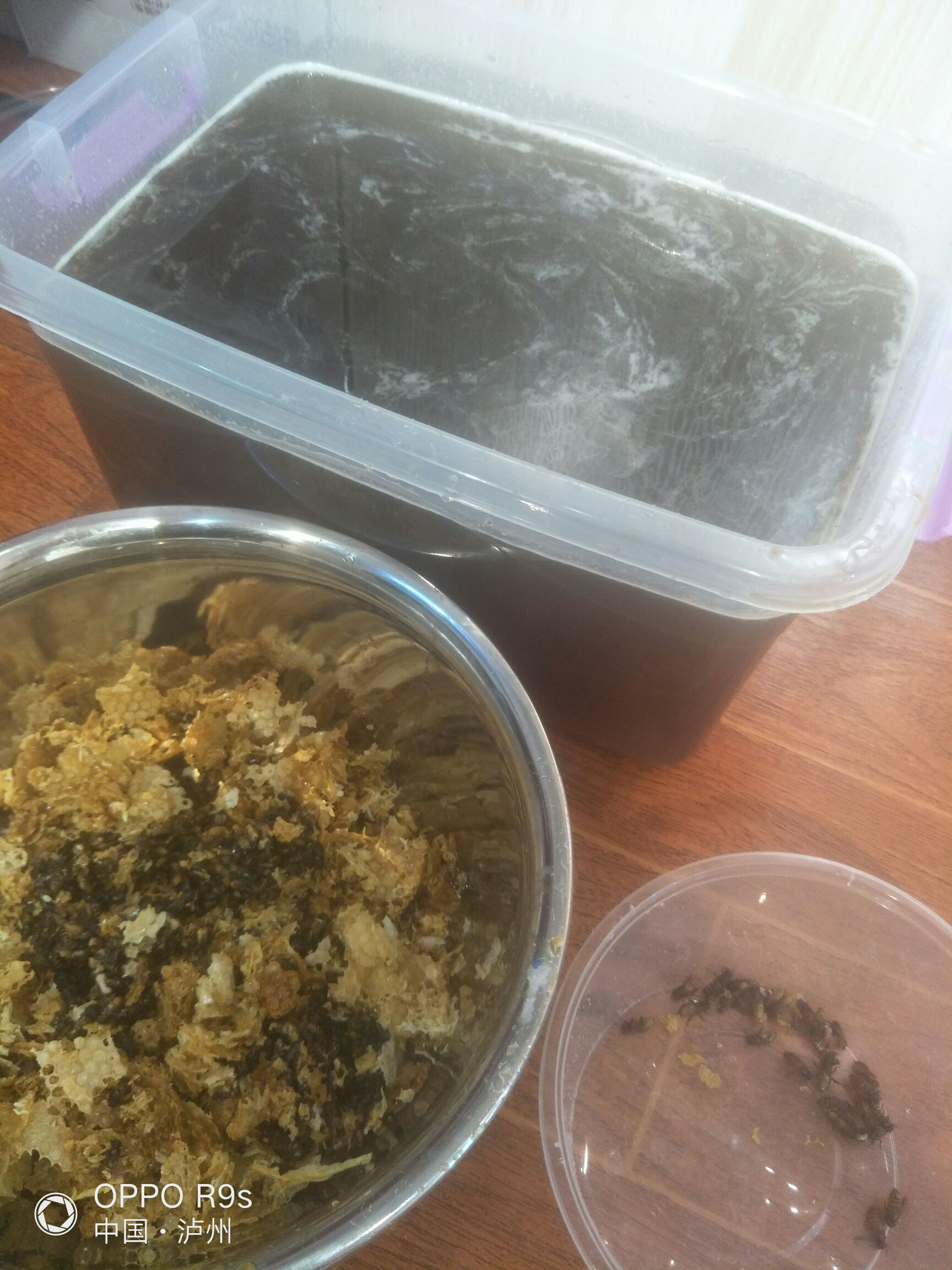  一年四季中最好的桉花土蜂蜜，