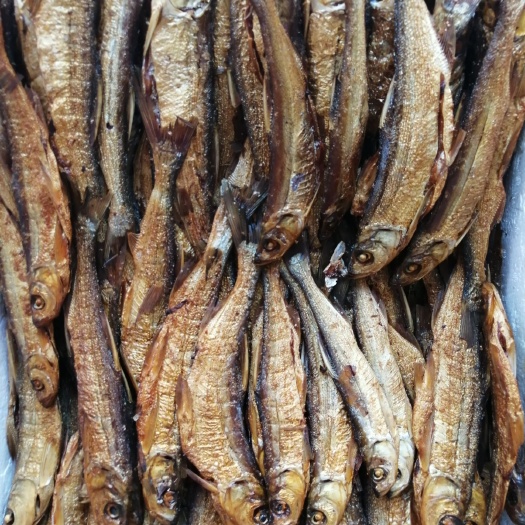 通山县翘嘴白鱼干 火培鱼翘嘴白15-25公分