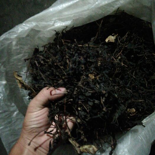 龙胜县桑叶茶 本地茶叶！纯手工加工的。是我们苗家人打油茶吃的！有需要的联系