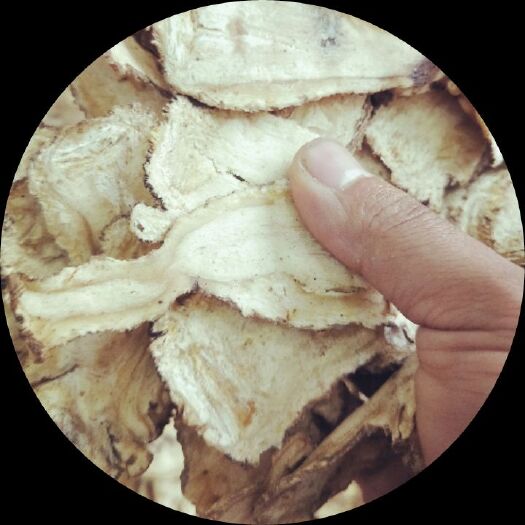 渭源县【当归头片当归头芯片】甘肃产地取皮片新货现切包邮