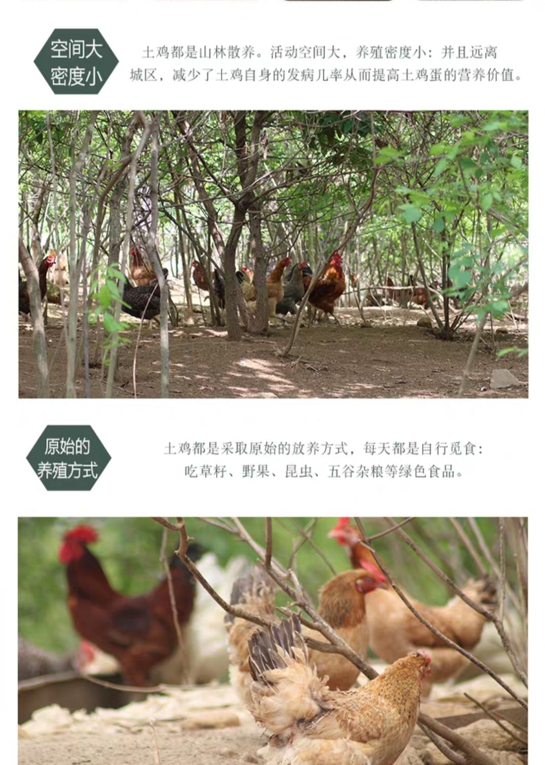  土鸡蛋       红心蛋   箱包360个