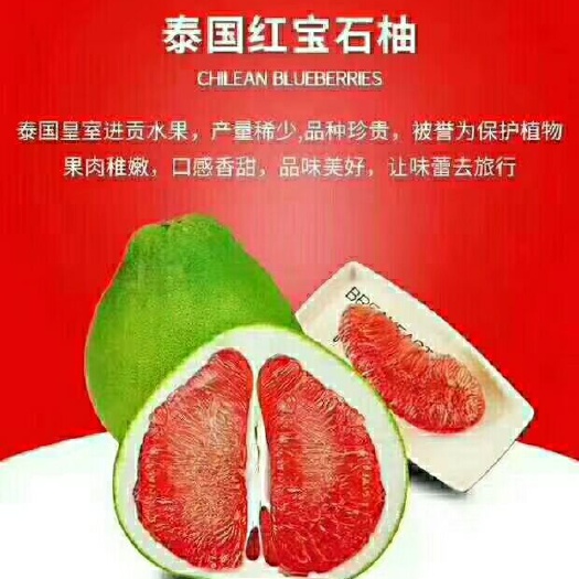 灵山县泰国红宝石柚苗 嫁接苗