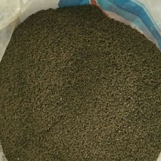 武冈市 优质中花吴茱萸