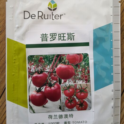 寿光市硬粉番茄种子  普罗旺斯西红柿种子——原包装