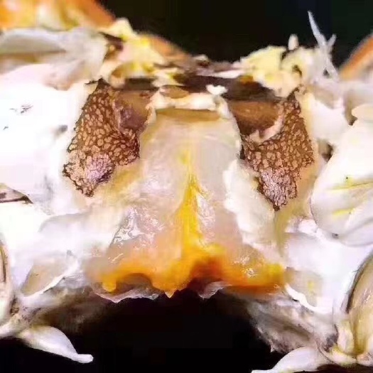 洪湖市 清水大闸蟹热销