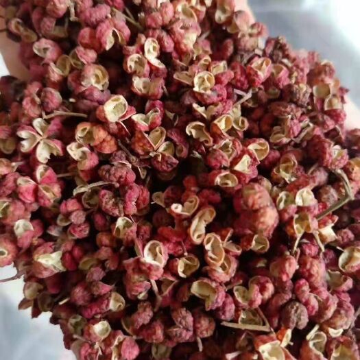 韩城市 陕西省韩城市农家大红袍花椒   无农药残留  颗粒大  麻味
