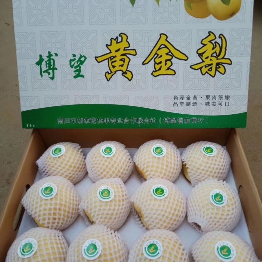 方城县 黄金梨.成熟了.坚持更好的品质.更好的服务。欢迎订购