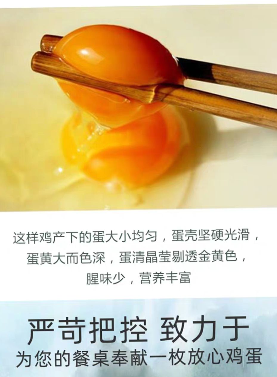  土鸡蛋       红心蛋   箱包360个