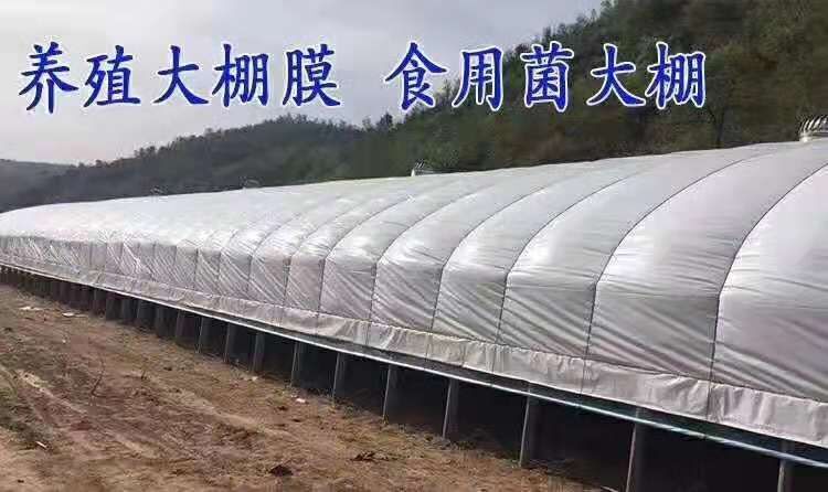 新昌县 种植大棚