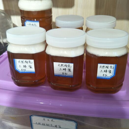 泸县 一年四季中最好的桉花土蜂蜜，