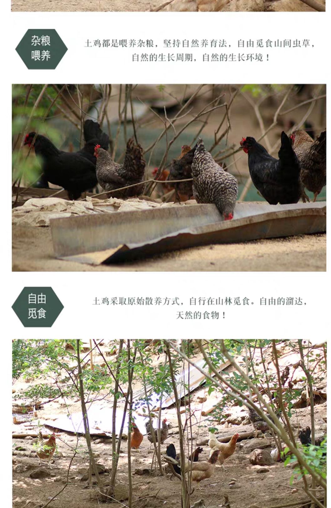  土鸡蛋       红心蛋   箱包360个