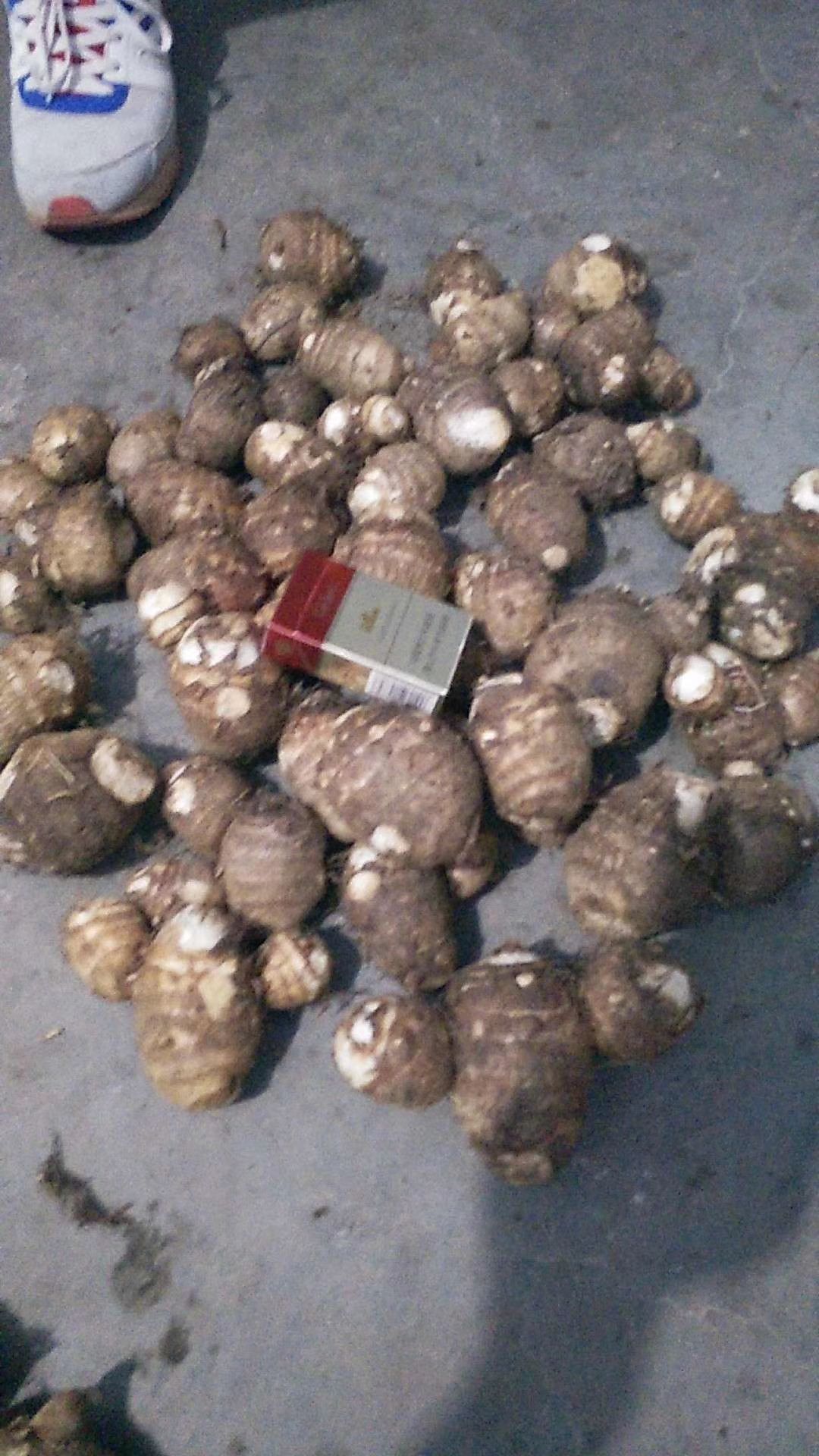 山东芋头产地直销